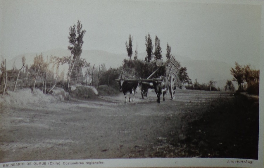 Postales del balneario de Olmué