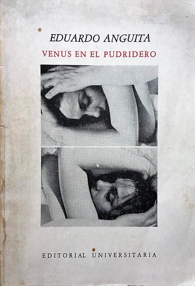 Eduardo Anguita - Venus en el pudridero