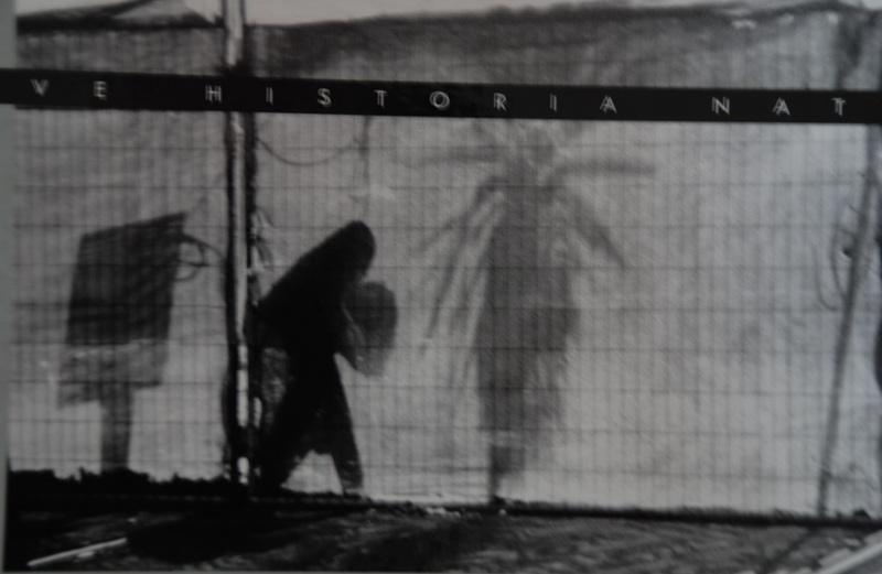 Luis Weinstein - Breve Historia Natural  2008